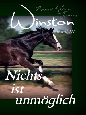 cover image of Winston--Nichts ist unmöglich